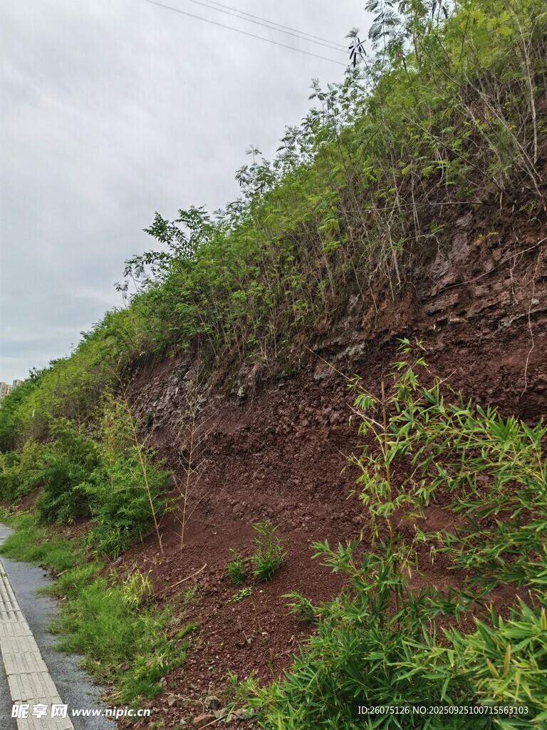 山坡旁的绿植与小路