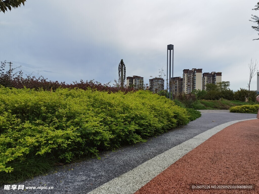 城市中的绿植小径景观