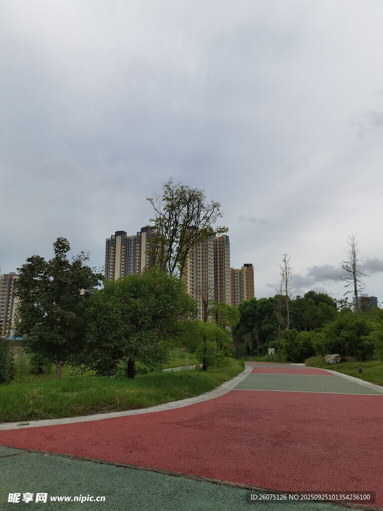 城市公园中的多彩步道景观