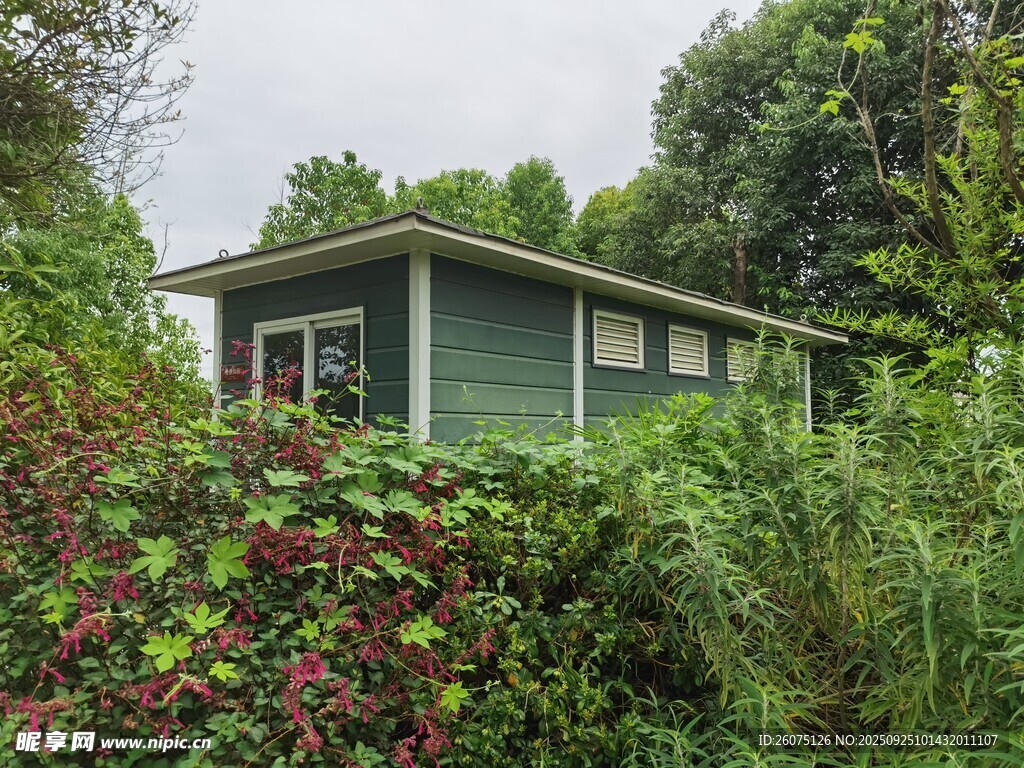绿植环绕的温馨小屋