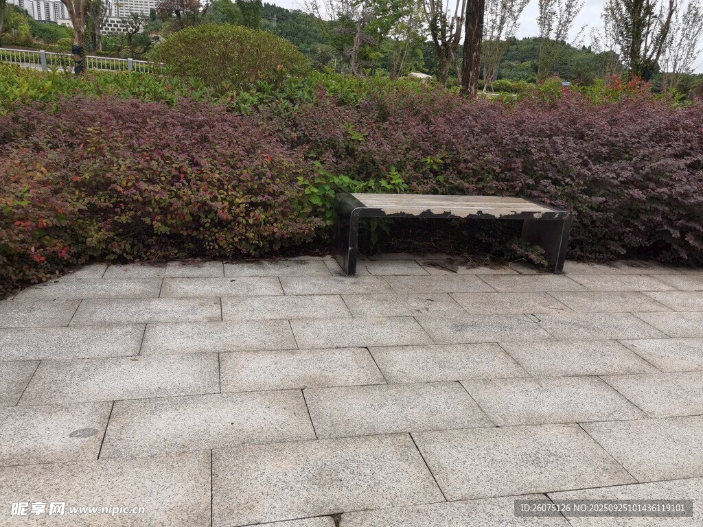 户外石砖地旁的绿植与长椅