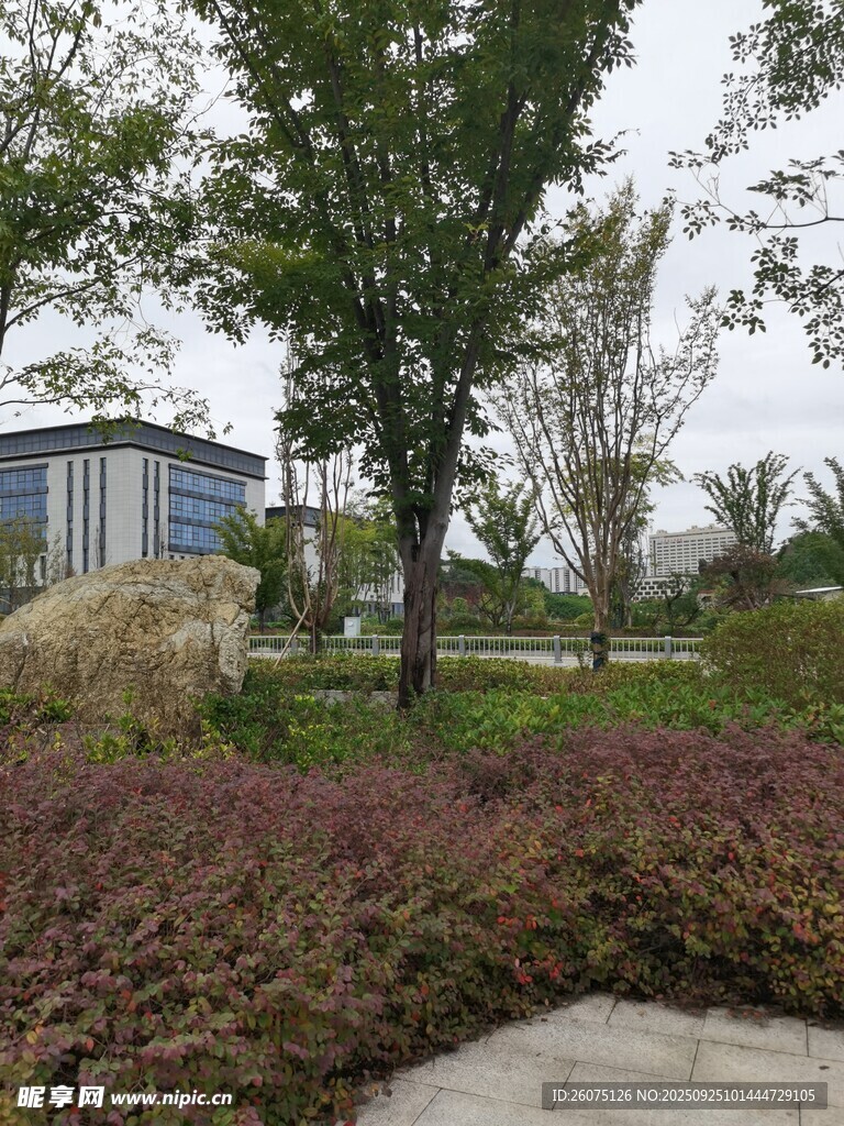 城市中的静谧绿植景观