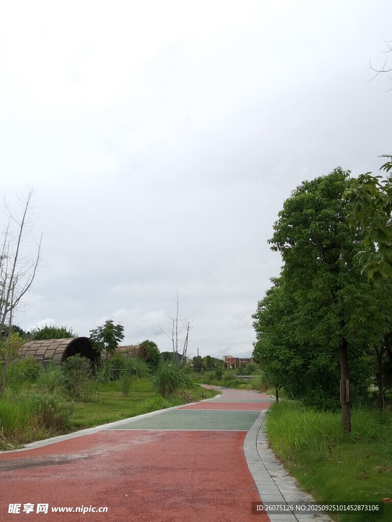 郊外彩色步道风景