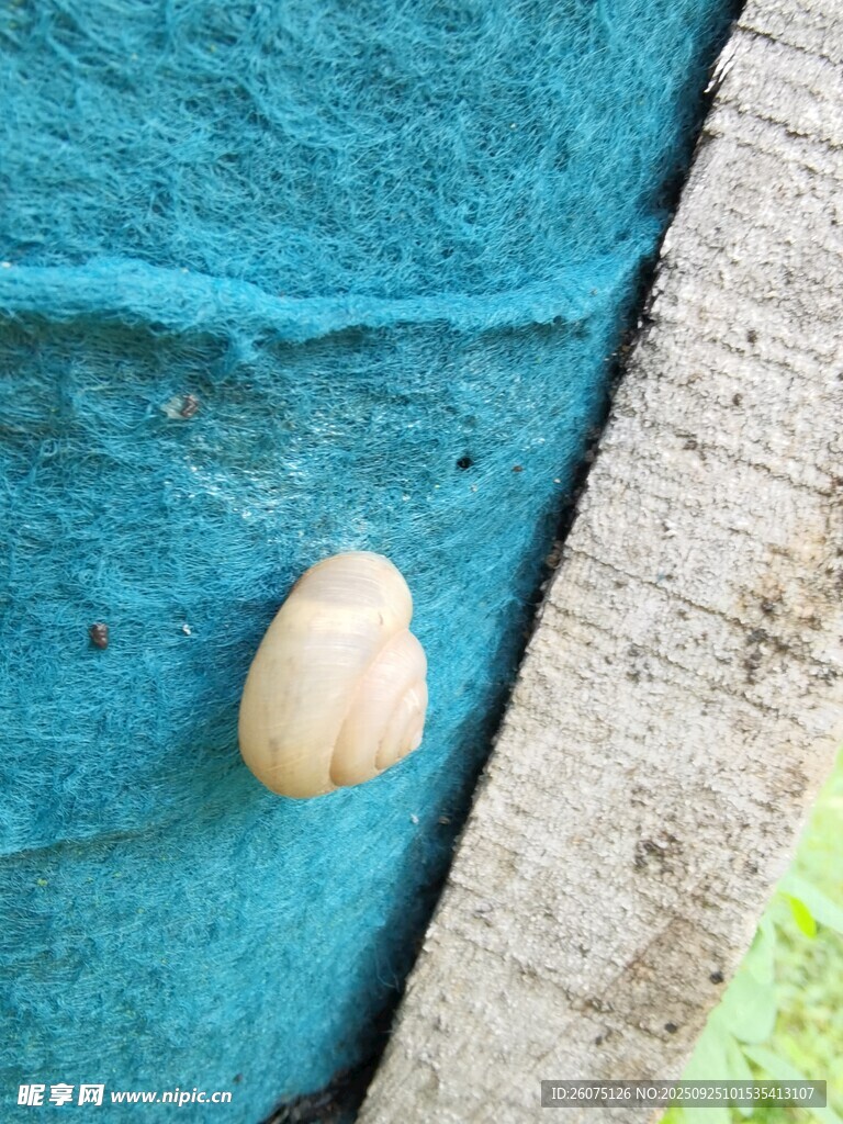 蓝色背景上的白色小物体