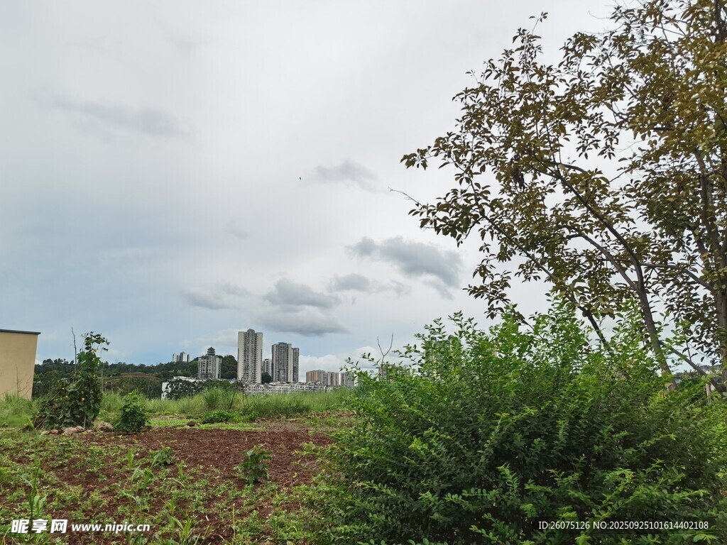 城郊绿植与远处建筑景观