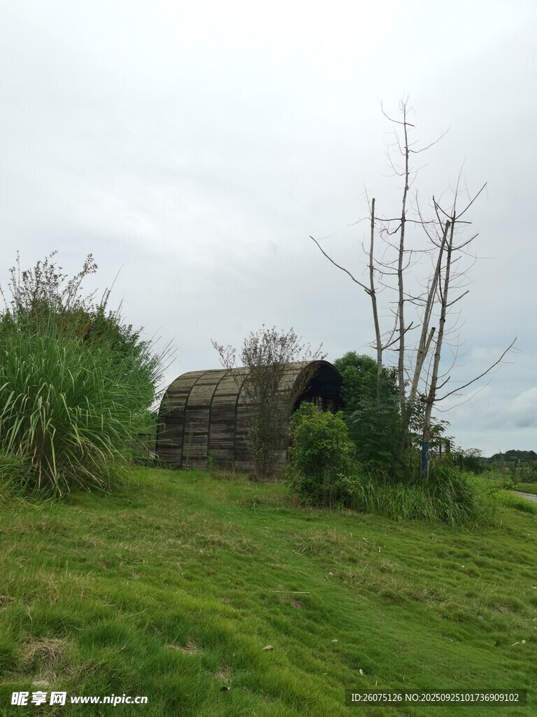 荒野中的破旧小屋