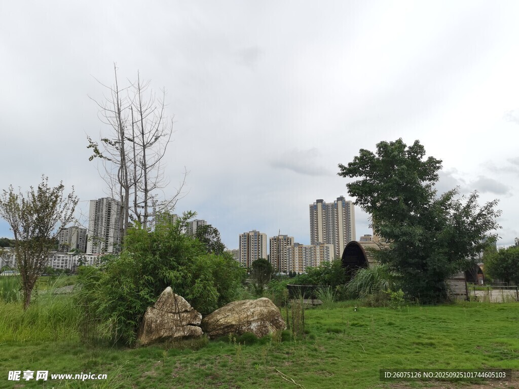 城郊草地与树木景观