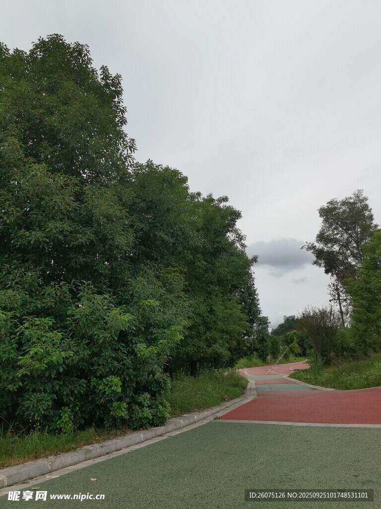 林间红径绿意盎然的步道