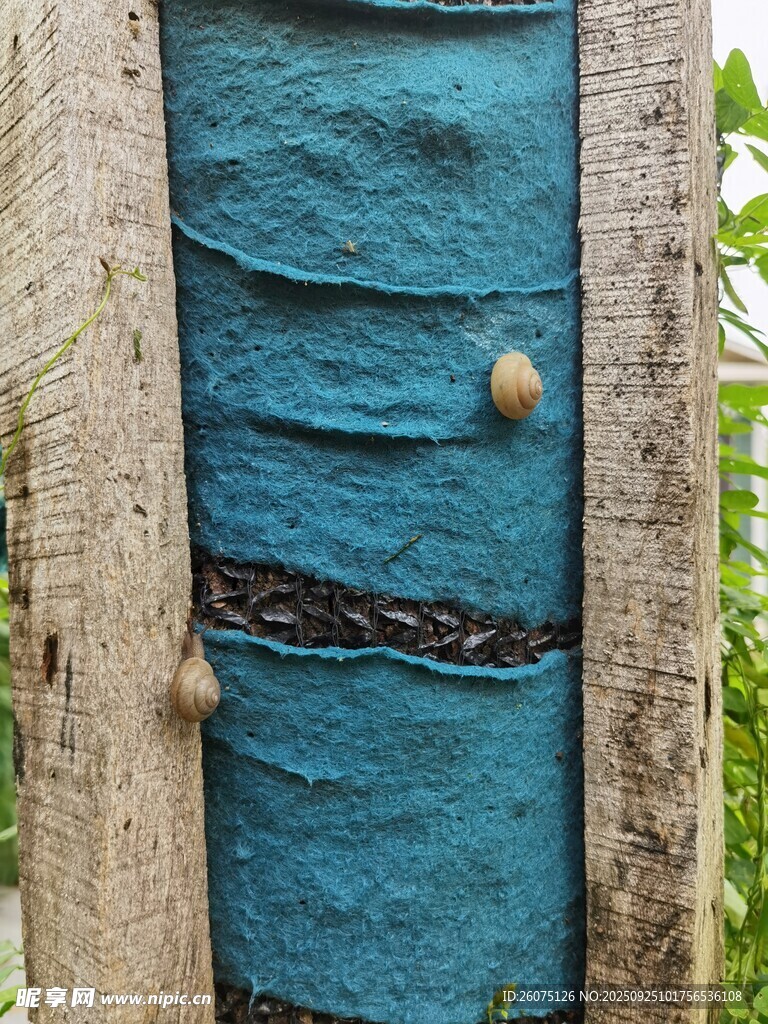 蓝色绒布包裹的树林与蜗牛