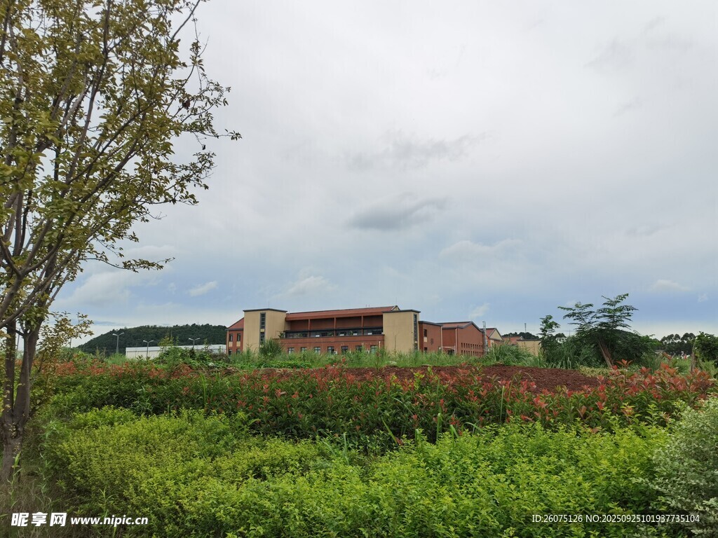 田野边的红顶建筑