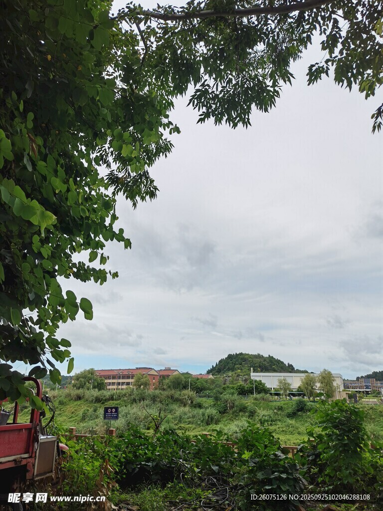 绿意盎然的乡村景致