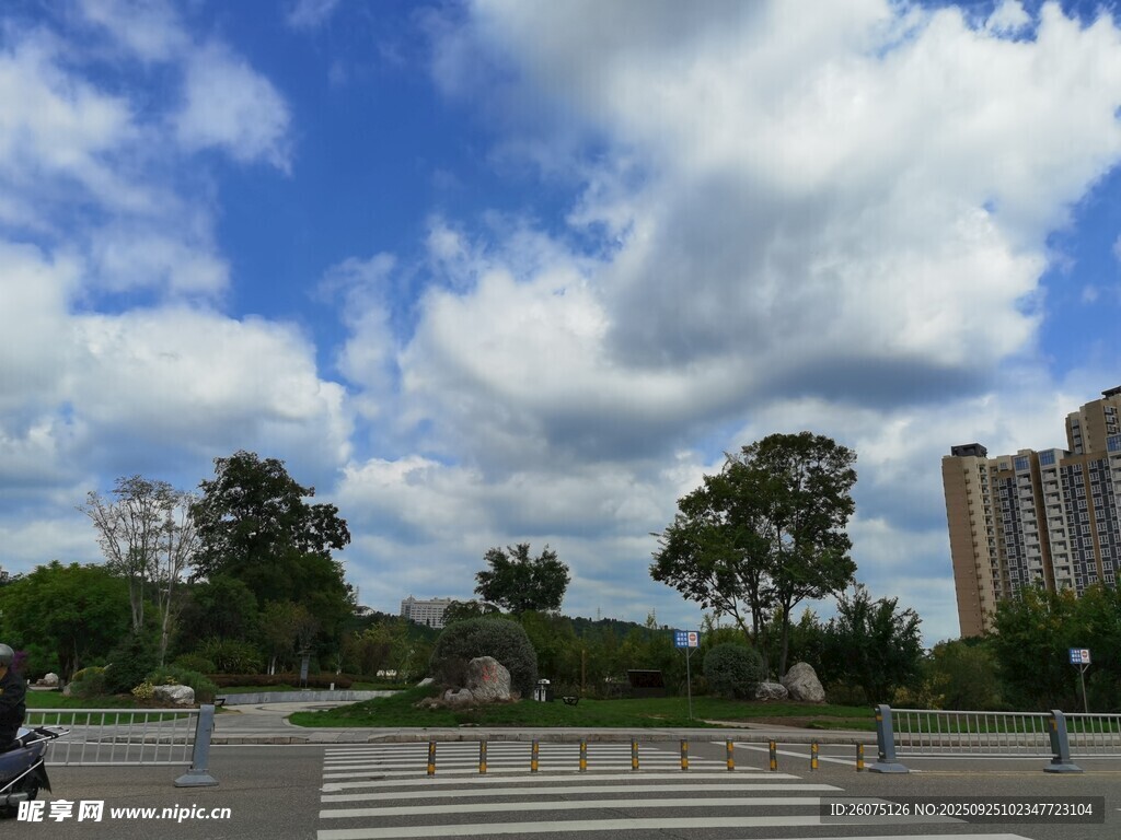 城市蓝天绿树景观