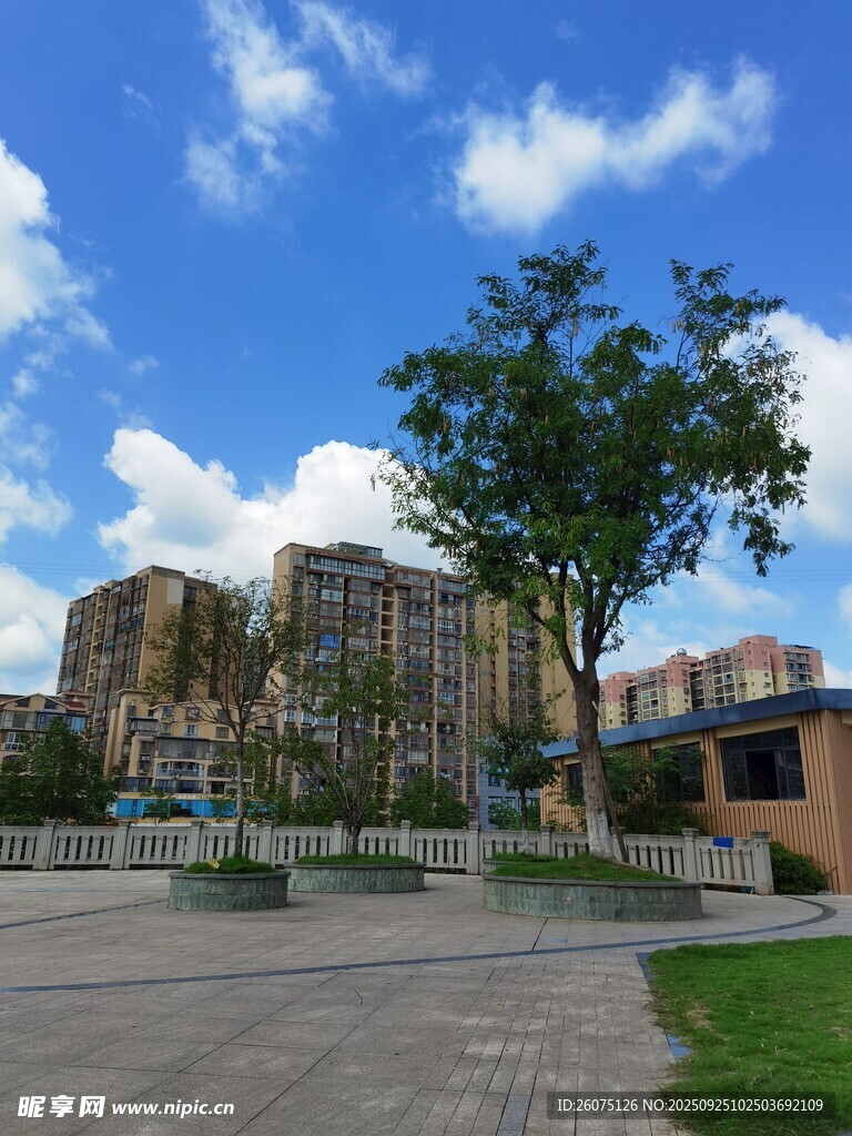 城市开阔广场与远处建筑