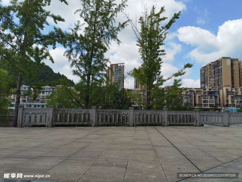 户外开阔场地与绿树建筑