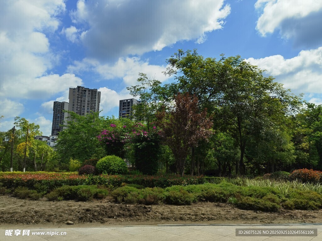 城市边的绿意景观