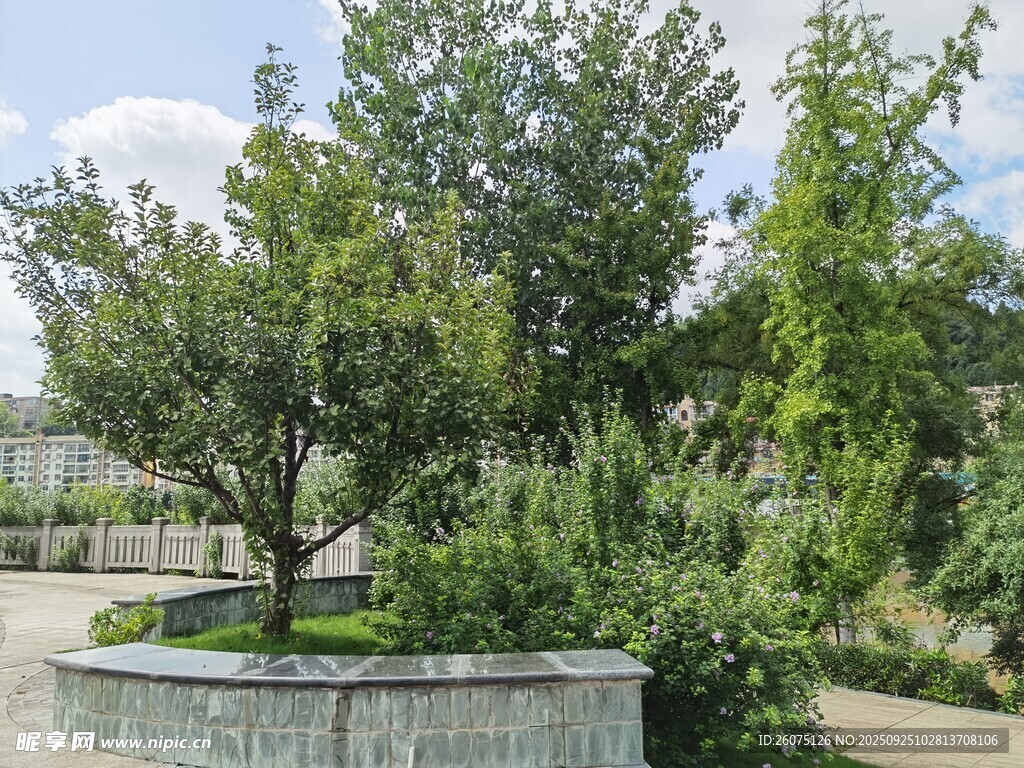城市中的绿植景观