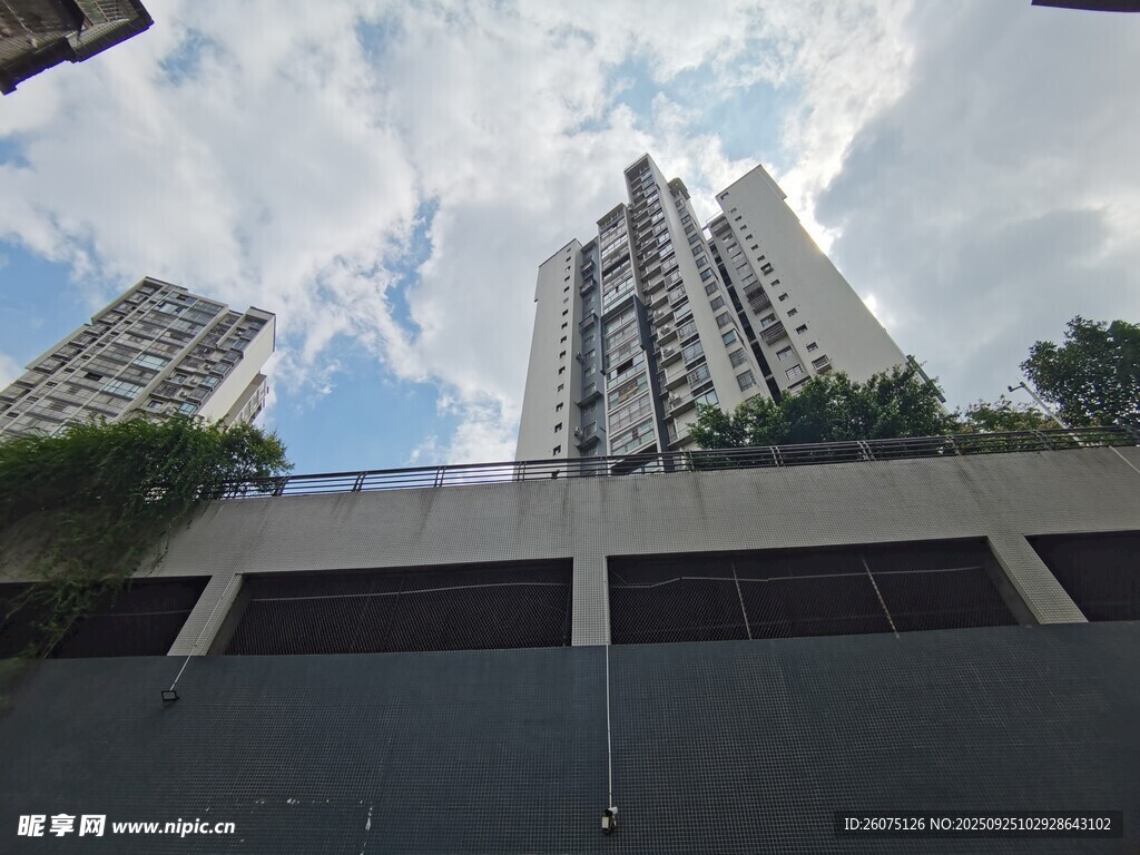 高楼耸立的城市景观