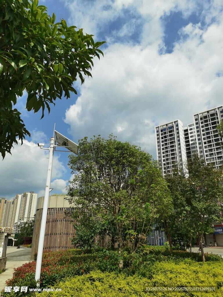 城市绿植与高楼景观