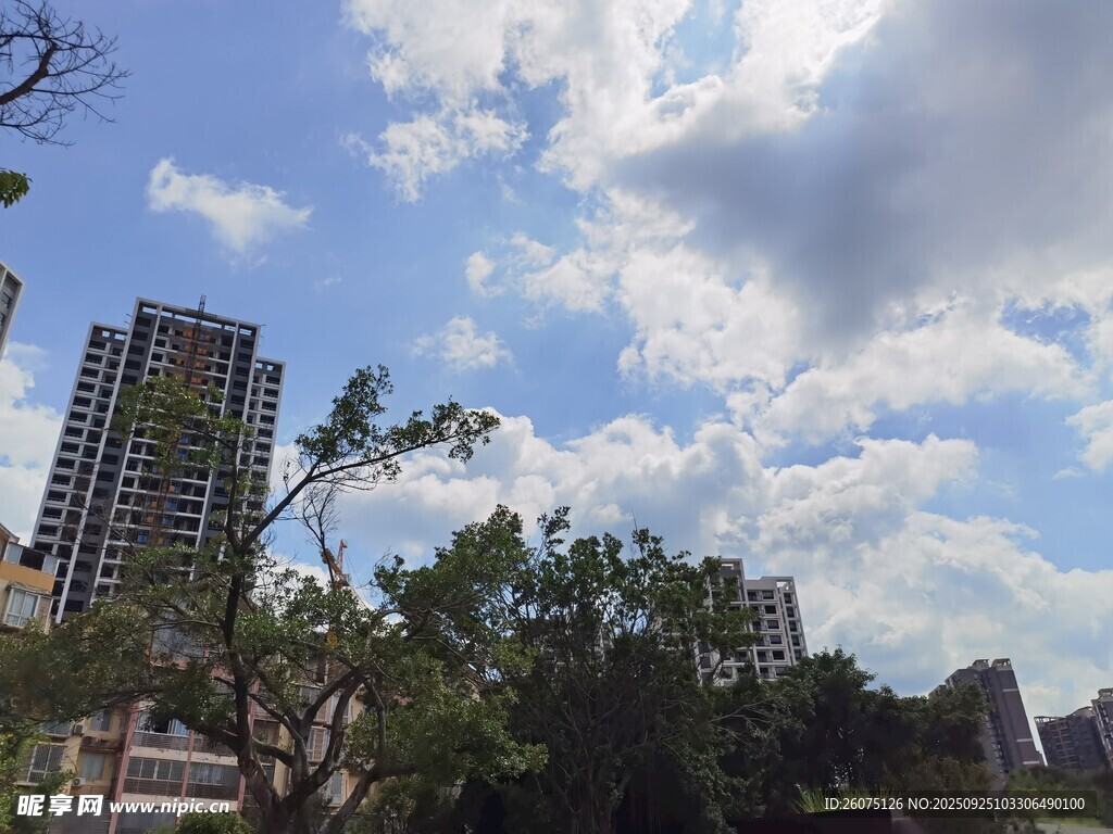 城市蓝天绿树景观
