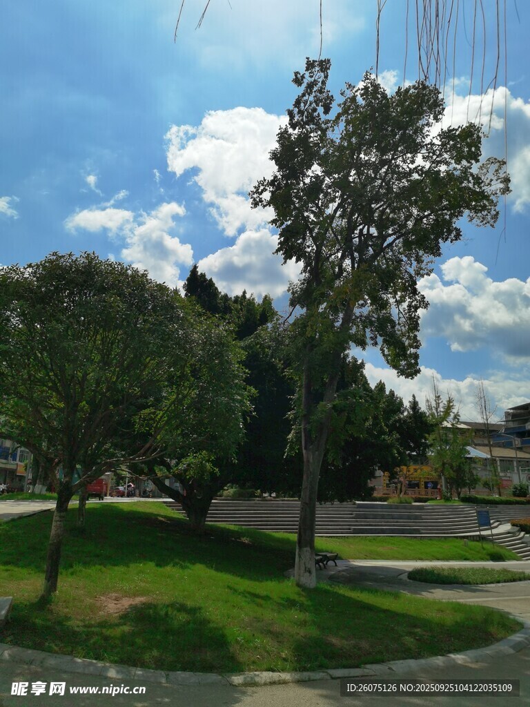 户外公园绿树蓝天白云景