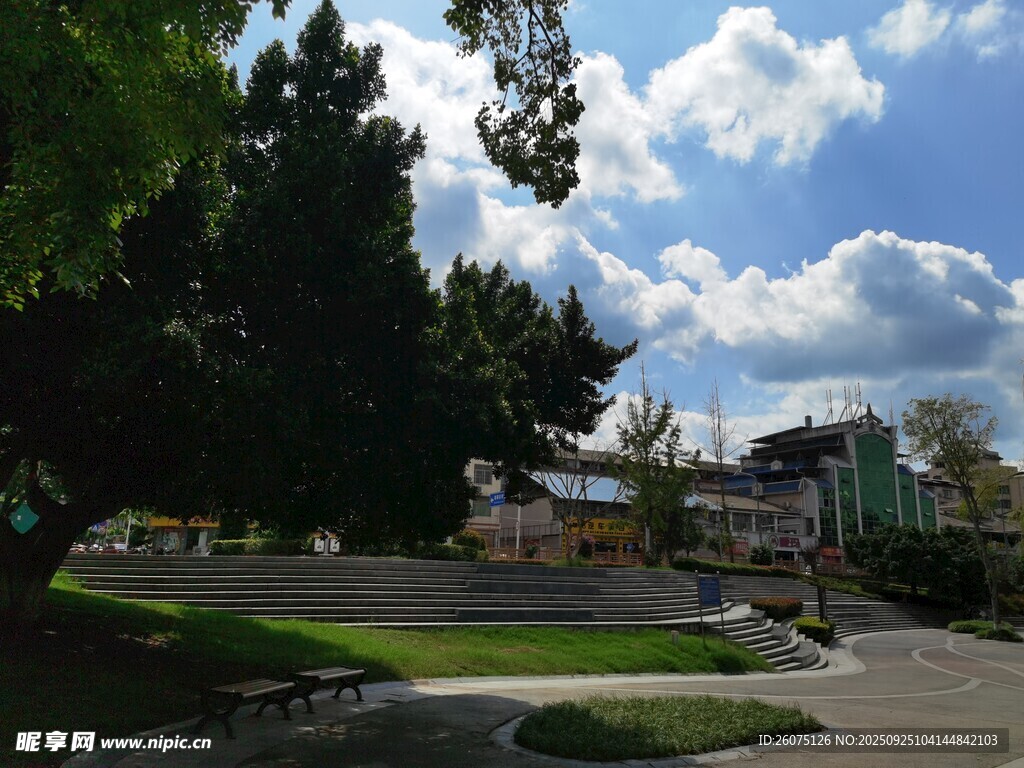城市公园中的宁静景致