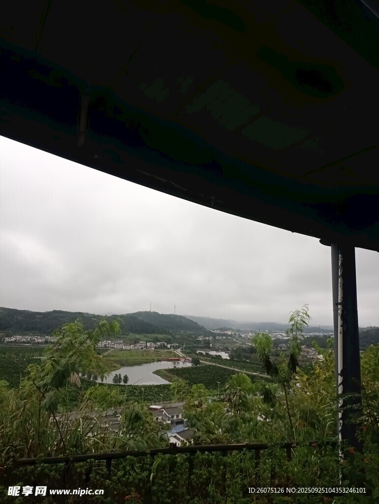 桥下视角的自然风景