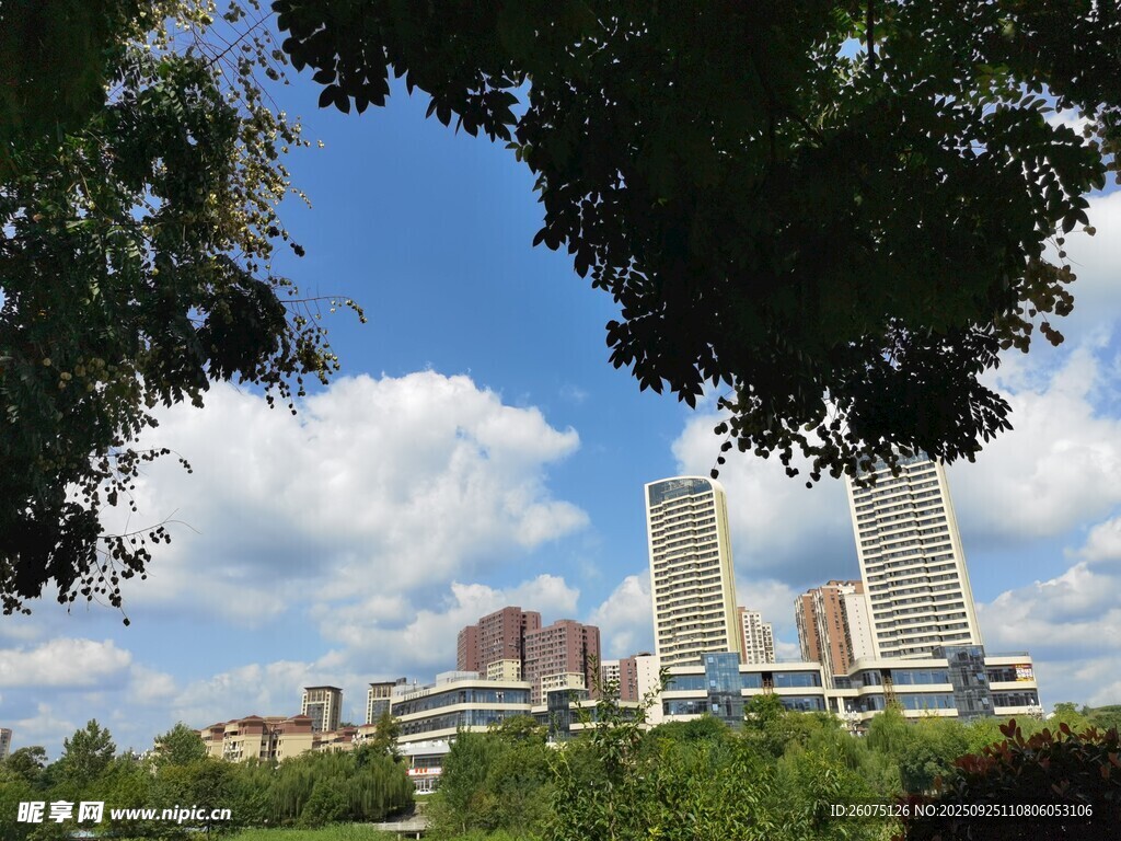 城市绿树蓝天美景