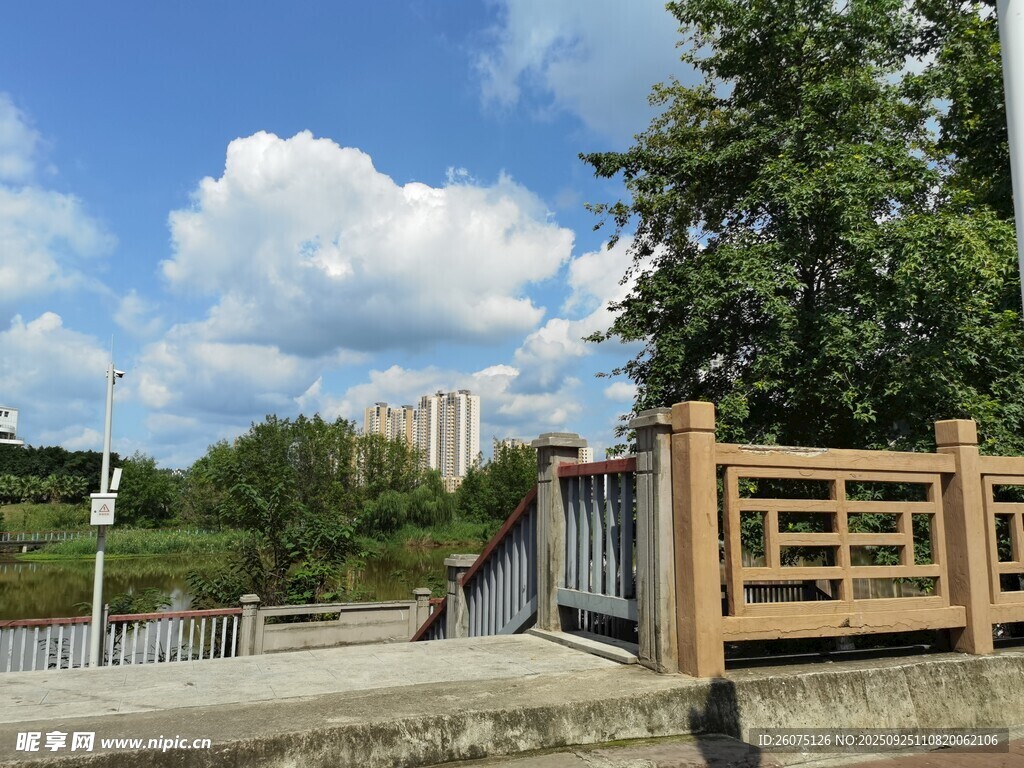 河畔木栏风景