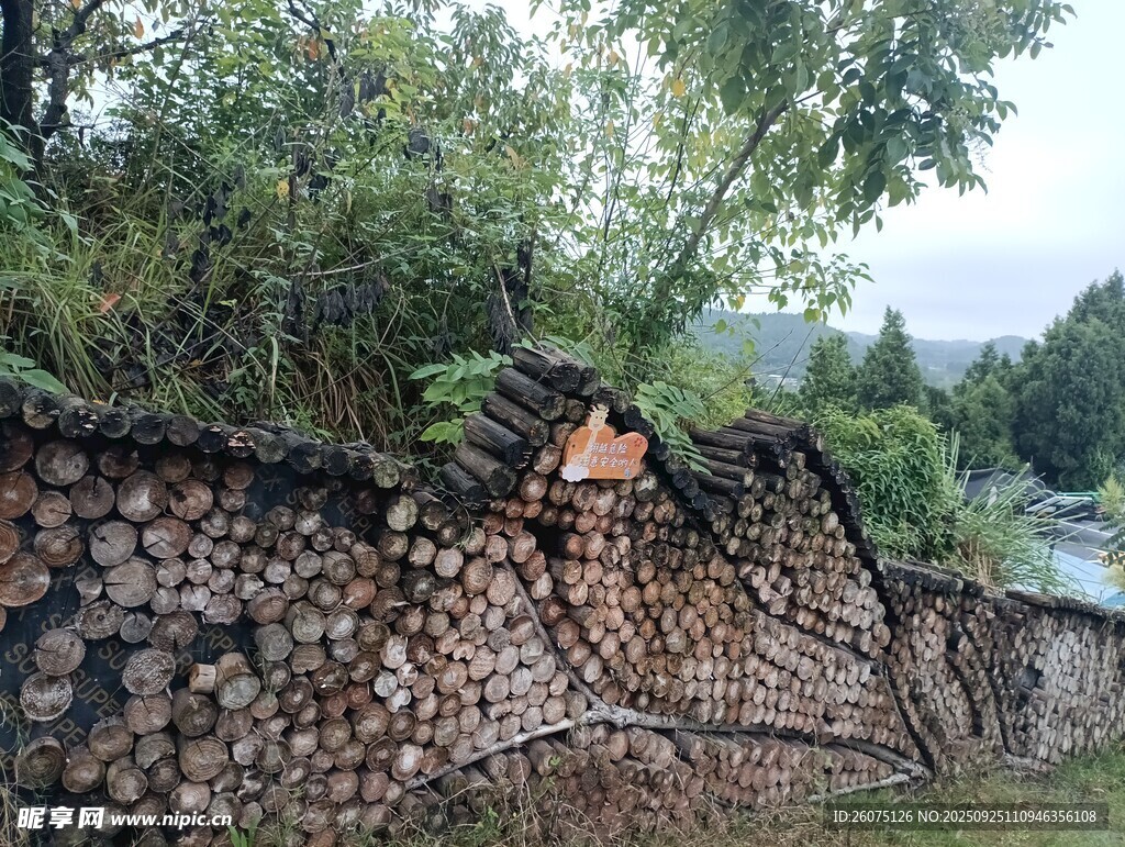木砌矮墙旁的自然景致