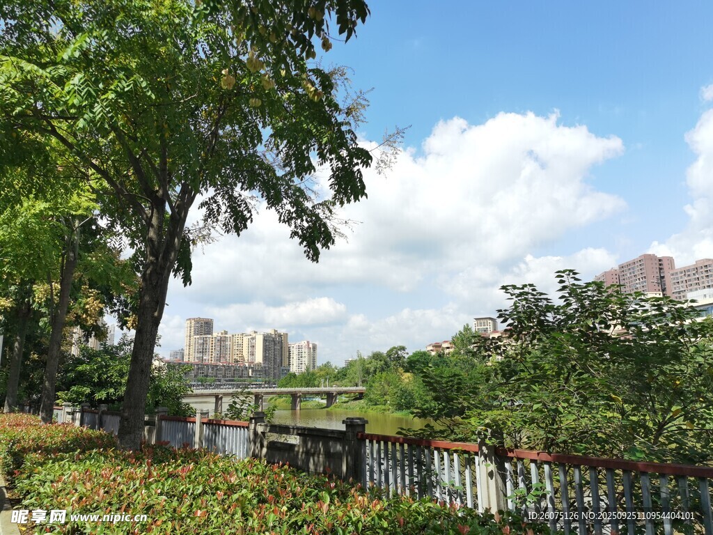城市河畔绿意景观