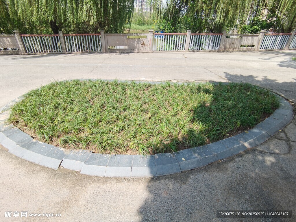 圆形绿植景观