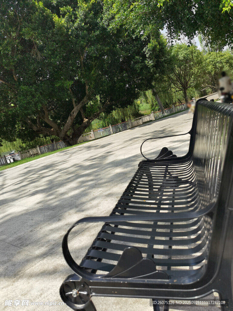 公园小径旁的休闲长椅
