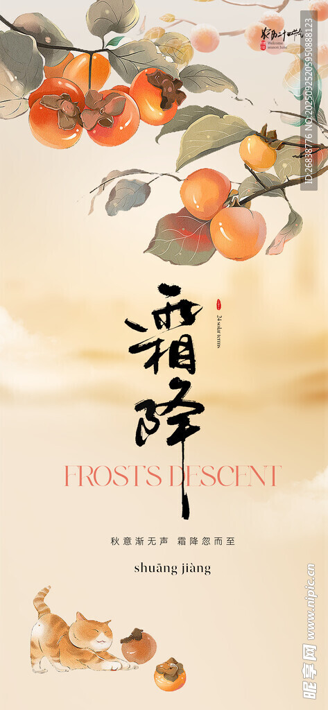 霜降海报 