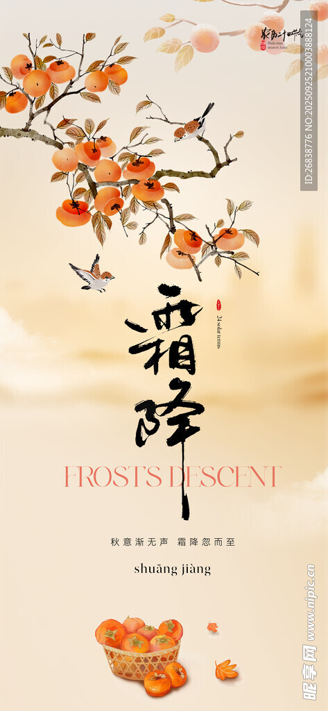  霜降海报