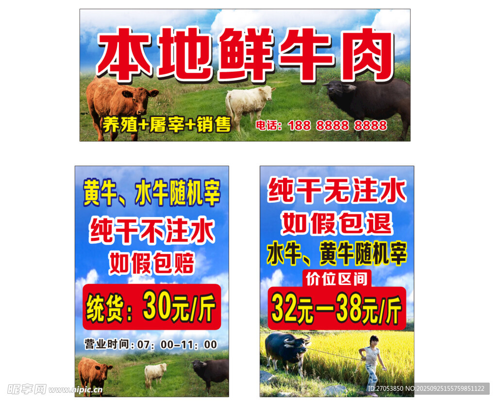 鲜牛肉  黄牛肉