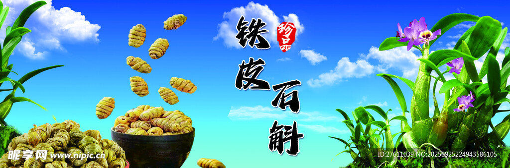 金币洒落的花园财富景象