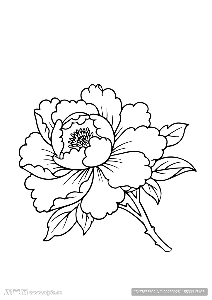 手绘单枝牡丹花图案