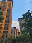 城市中的高层住宅景观