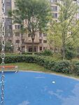 小区内的蓝色泳池景观