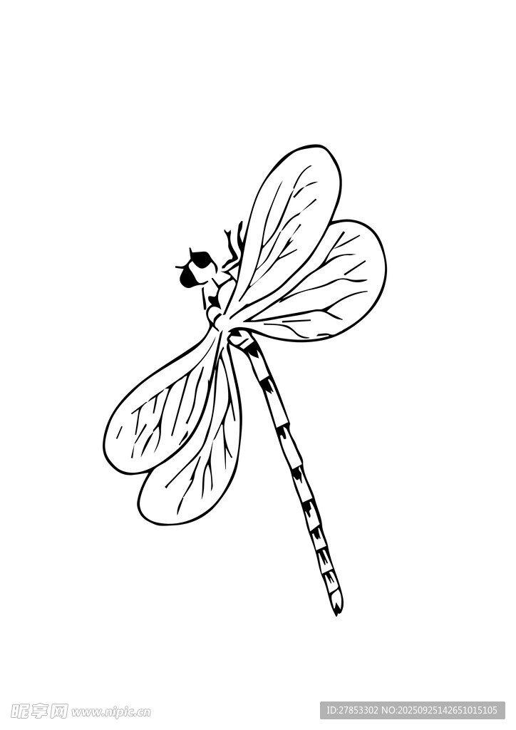 手绘黑白蜻蜓图案