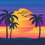 热带夕阳下的棕榈树剪影