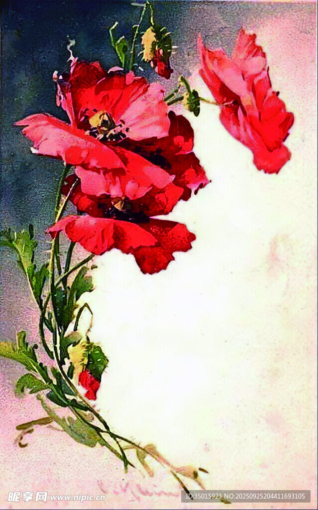 艳丽红色花卉插画