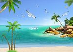 海滩背景