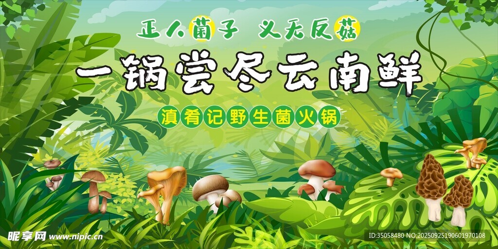  野生菌灯箱