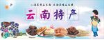 云南特产