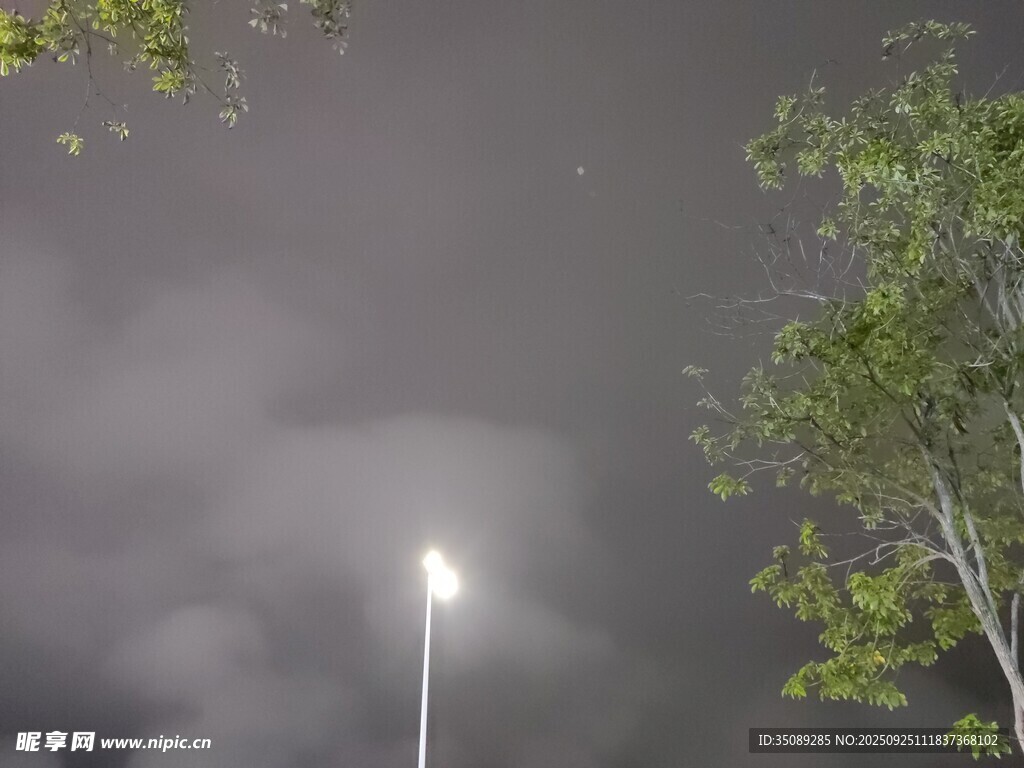 夜晚路灯与树木的朦胧景象