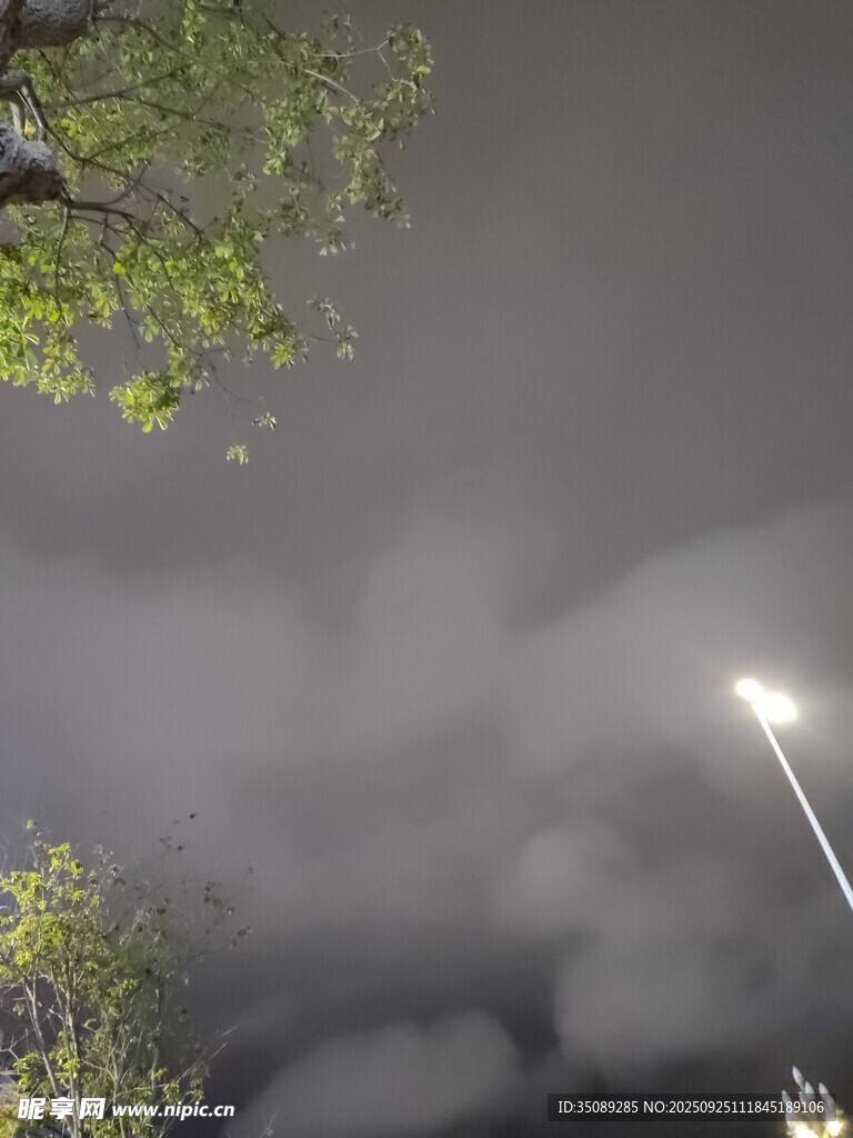 夜空下的树木与明亮路灯