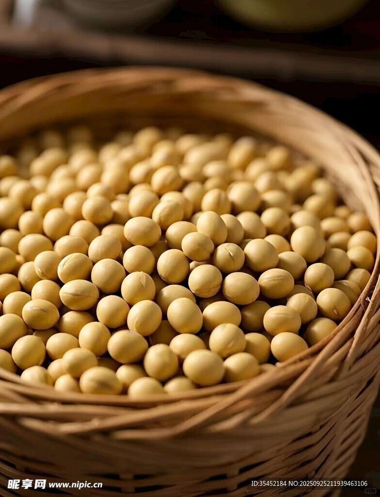 大豆