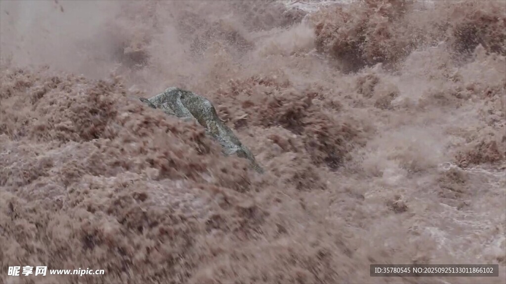 汹涌浑浊洪水中的一抹绿