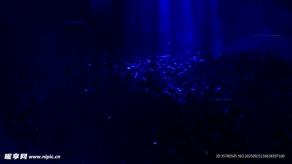 演唱会现场人群视频素材